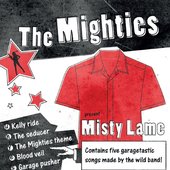 Misty Lame