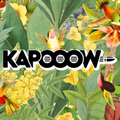 KAPOOOW_NL 的头像