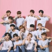 pink svt innit  aw theyre so cute