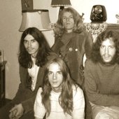 Доклад по теме Blue cheer