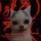 CaioFellipao 的头像