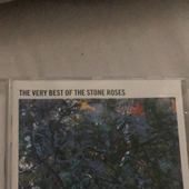 Frostee3699 的头像