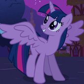 Princess_Twilight_Sparkle.jpg