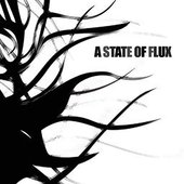 A State of Flux