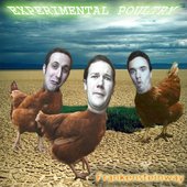 Experimental Poultry
