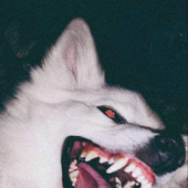 Avatar for anthraxxed