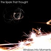 Windows Into Moments