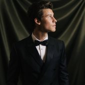 Shawn Mendes for Oscars