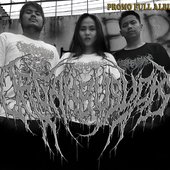 promo pic.jpg