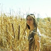 Katie Howell