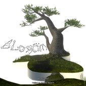 Blossom (feat. mental & Colton) - Single