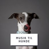 musiktilhunde.jpg