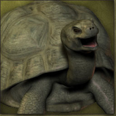 themagicturtle için avatar