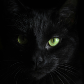 Avatar for BossBitchSlave
