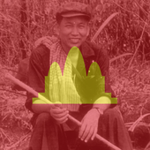 Songun60 的头像
