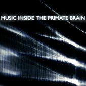 The Primate Brain