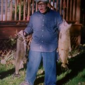 Matty Fishes