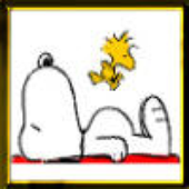 Avatar for nearlyperfect