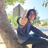 Mr.Enigma Climbing A Tree
