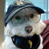 tommyhockey 的头像