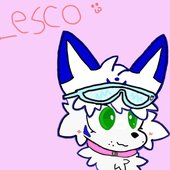 lesco :3
