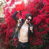 Dutch Melrose