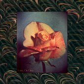 "Autochrome" single cover