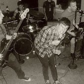 nightbirds