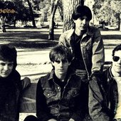 thedroogs.jpg