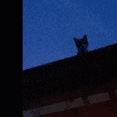 Hoy no, mañana sí