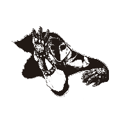 LastFM profile picture for @jpeghanzo