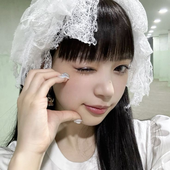 onlinecatblog 的头像