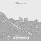 Undergrowth - Single