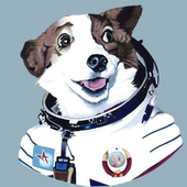 FozillaMirefox 的头像