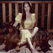 Avatar di sedonadelrey