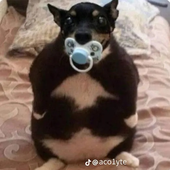 Avatar for biglilah