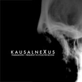 Kausalnexus