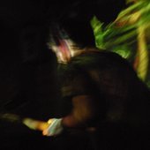live nov 2008 - nenea basistu 