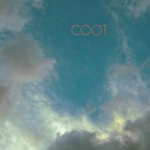 Coot