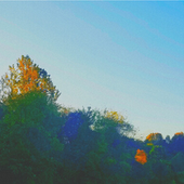 Screenshot 2025-05-18 082020.png