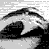 Avatar for servitkar