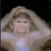 Avatar for DevastatedMnky4