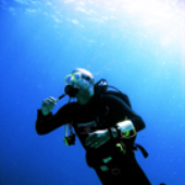 Avatar di TheScubaAddict