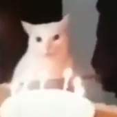 cattzinhaa 的头像