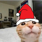 purrvis 的头像