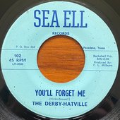 The Derby-Hatville