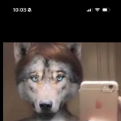 Falkor_ 的头像