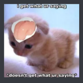 N0IR1 的头像
