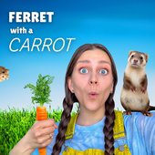 Ferret with a Carrot - Single