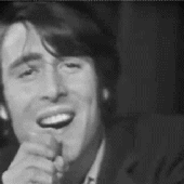 15537.gif